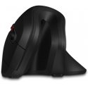 Connect IT CMO-2900-BK mouse Right-hand RF Wireless Optical 1600 DPI