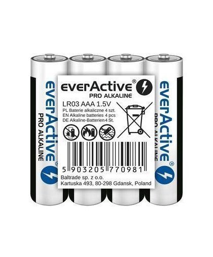 Everactive Sārmu baterijas everActive Pro Alkaline