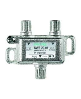 Axing SWE 20-01 Sudrabs