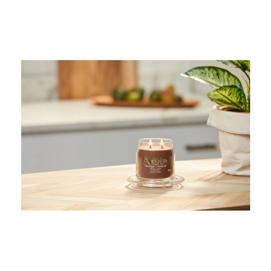 Yankee Candle Praline & Birch wax candle – 3