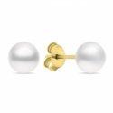 Brilio Silver Brilio silver charming gold-plated earrings with real pearls EA585/6/7/8Y Brilio Silver Brilio silver charming gold-plated earrings with real pearls EA585/6/7/8Y