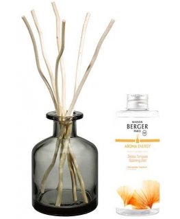 Drėkintuvas Maison Berger Paris Gift set Aroma Energy diffuser pilka + refill Fresh tonic 200 ml 200ml Kvapas namams su lazdelėm