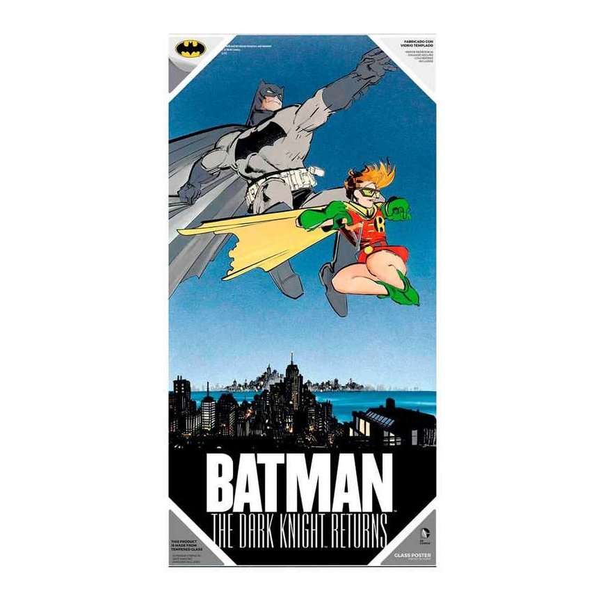 Poster Sd Toys DC Comics Batman and Robin glass poster