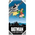 Poster Sd Toys DC Comics Batman and Robin glass poster