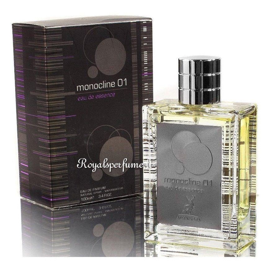 Fragrance World Esscentric Molecules 01 100ml perfume Unisex EDP