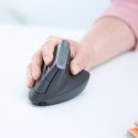 Logitech 910-005448 hiir Kontor Parempoolne RF juhtmeta ühendus + Bluetooth Optiline 4000 DPI Logitech 910-005448 hiir Kontor Parempoolne RF juhtmeta ühendus + Bluetooth Optiline 4000 DPI