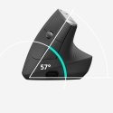 Logitech 910-005448 pele Birojs Labā roka RF bezvadu sakari + Bluetooth Optisks 4000 DPI Logitech 910-005448 pele Birojs Labā roka RF bezvadu sakari + Bluetooth Optisks 4000 DPI