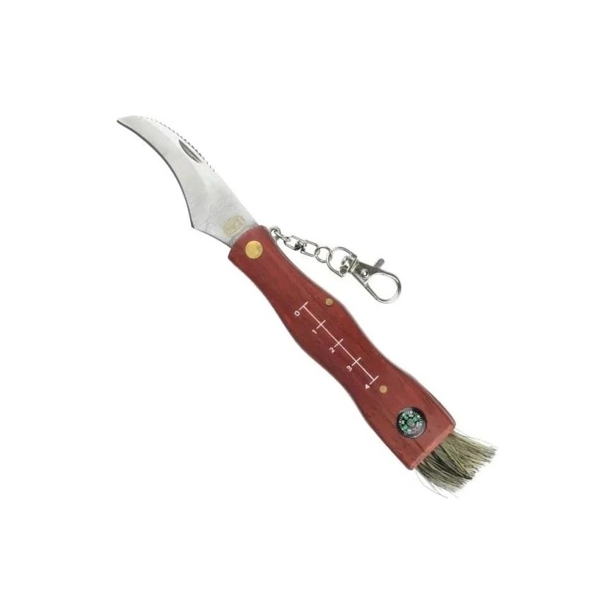 Speck SCK Mushrooms CC-GC105 Sēņu gatavošanas