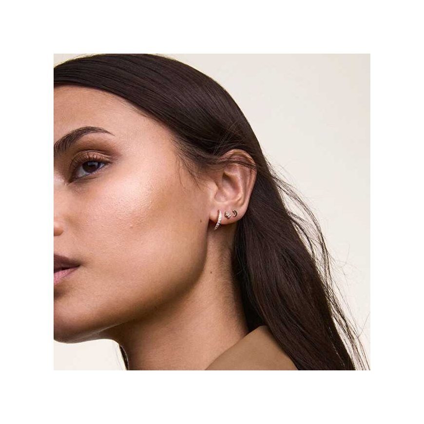Daniel Wellington Steel Single Earring Star with Crystals DW00400874 – 2