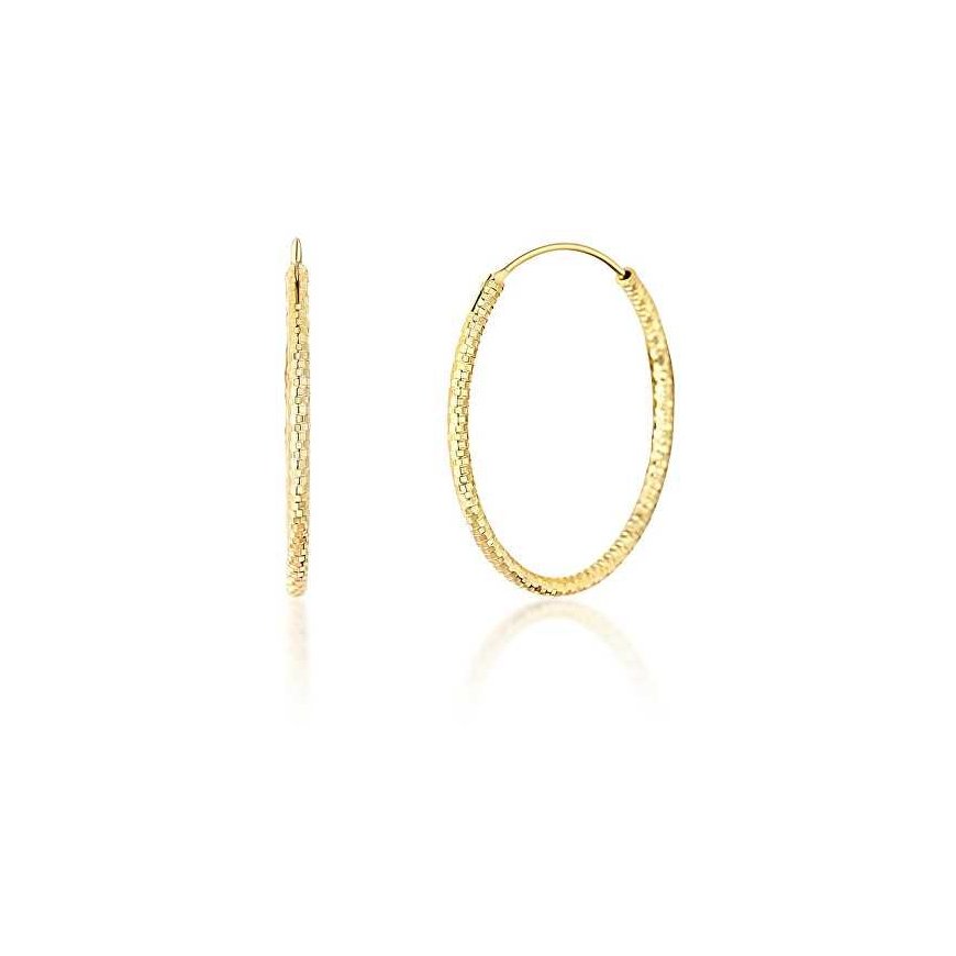 JVD Gold-plated round earrings SVLE0204XD5GO
