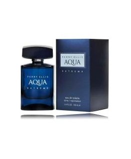 Perry Ellis Aqua Extreme Eau de Toilette for men 100 ml