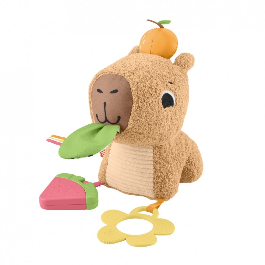 Fisher-Price HYR54 minkštas žaislas