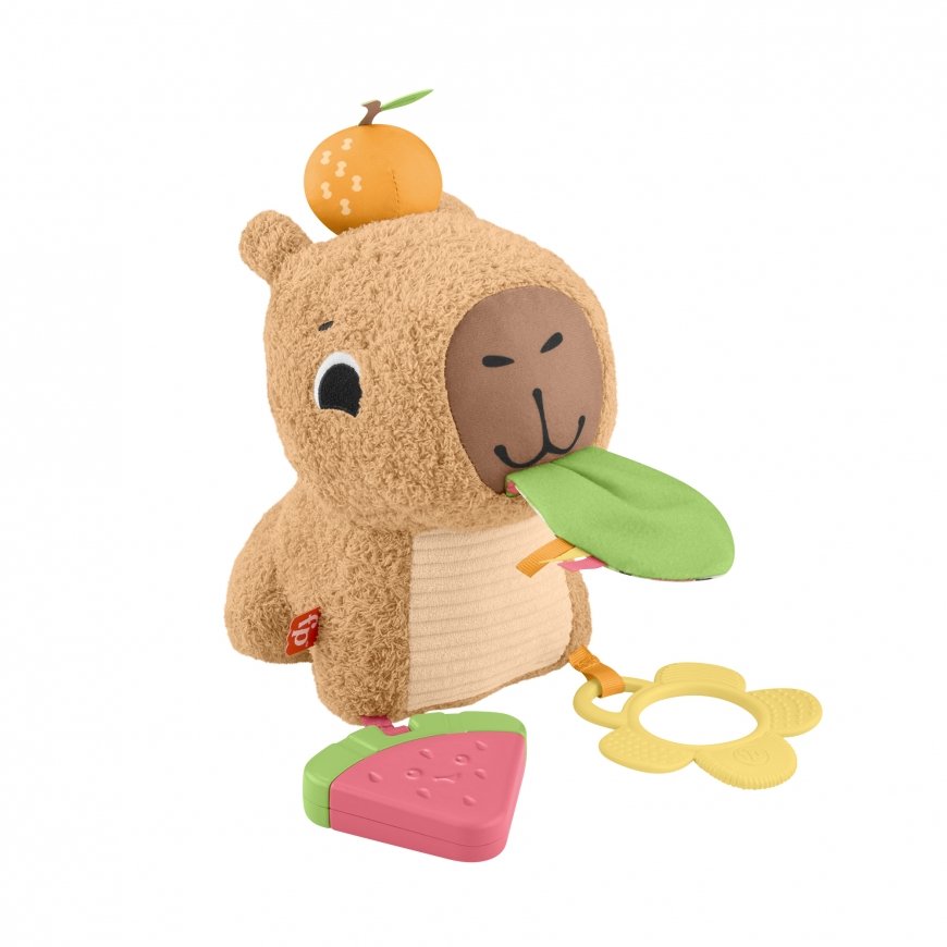Fisher-Price HYR54 pehme mänguasi – 5