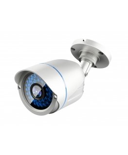 LevelOne ACS-5602 turvakaamera Kuul (kuju) CCTV turvakaamera Hooneväline Lagi/sein