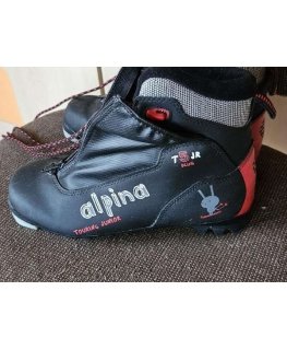 Suksilaukku Fischer Alpine Race 1 parille 175-190 cm