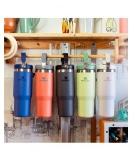 Drinkware STANLEY CLASSIC The IceFlow (0.89 l)