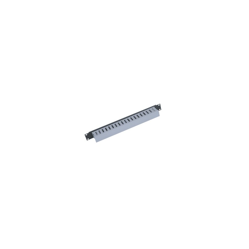 Triton 19" panel 1U with cable trunking single