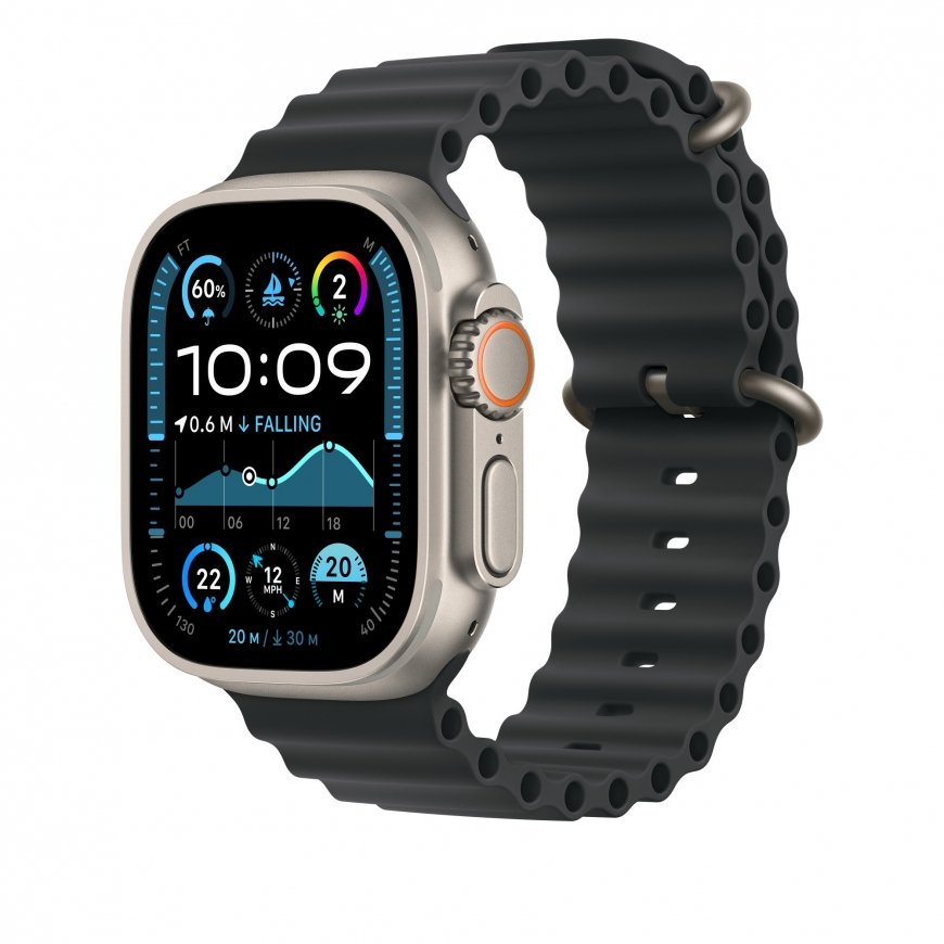 Apple MXTM3ZM/A nutikas kantav aksessuaar Bänd Must Fluoroelastomeer, Titaanium – 2