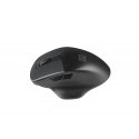 NATEC BlackBird 2 hiir Kontor Mõlemakäeline Raadioside IR LED 1600 DPI