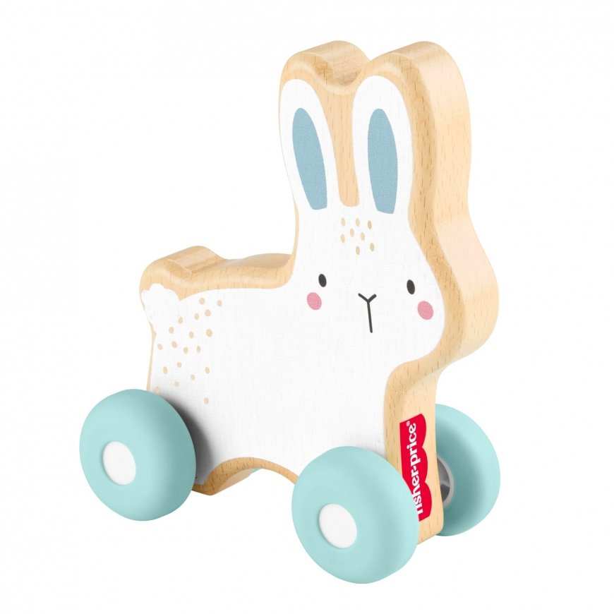 Fisher-Price JDM52 velkamā un stumjamā rotaļlieta