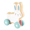 Fisher-Price JDM52 velkamā un stumjamā rotaļlieta Fisher-Price JDM52 velkamā un stumjamā rotaļlieta