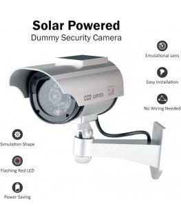 Riff Dummy security camera