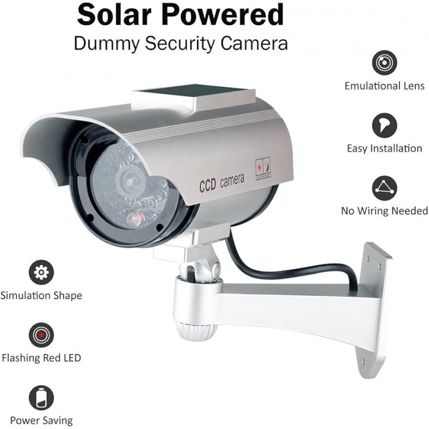 Riff Dummy security camera