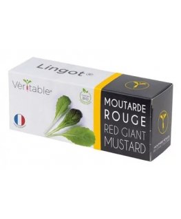 Véritable 3760262511252 stādu diedzēšanas komplekts un papildinājums Sinepes Uzpildāms