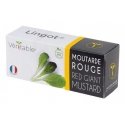 Véritable 3760262511252 growing kit/refill Mustard Véritable 3760262511252 growing kit/refill Mustard