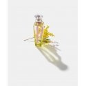 Adolfo Dominguez Agua Fresca de Mimosa Coriandro 120 ml Naised Adolfo Dominguez Agua Fresca de Mimosa Coriandro 120 ml Naised