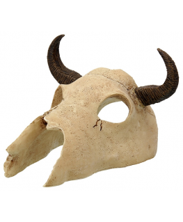 Terraario sisustus | kallo: Repti Planet Buffalo Skull 12,5x11,8x8cm