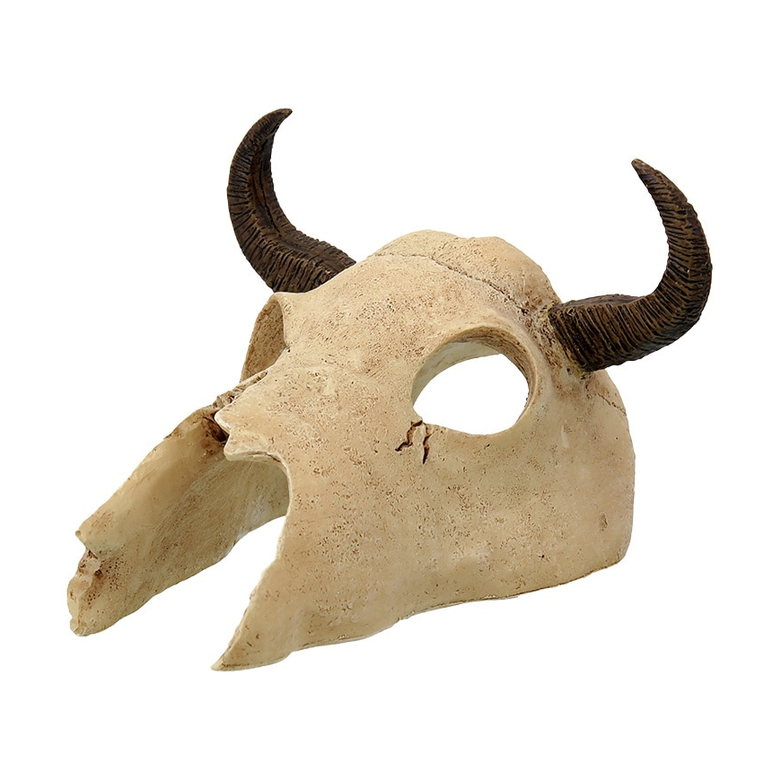 Terrarium decor | skull : Repti Planet Buffalo Skull 12.5x11.8x8cm
