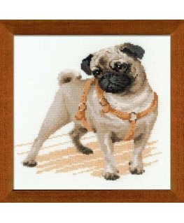 Uab Riolis Pug Dog 1176
