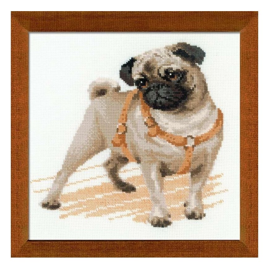 Uab Riolis Uab Riolis Pug Dog