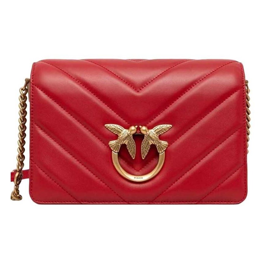Pinko Women's Leather Crossbody Bag