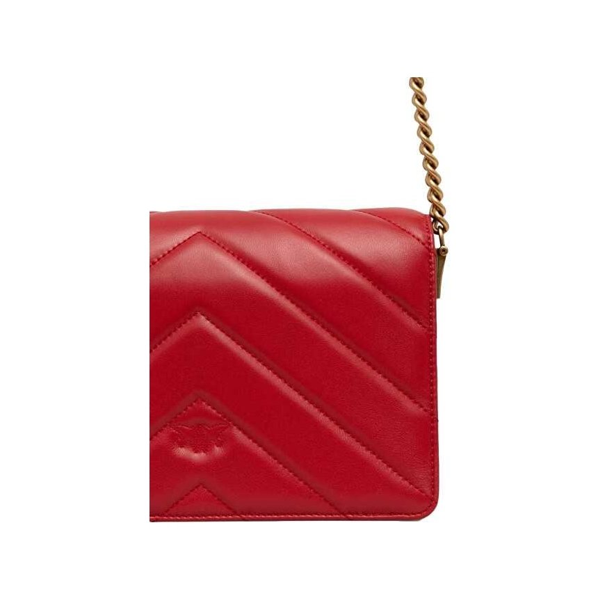 Pinko Women's Leather Crossbody Bag – 4