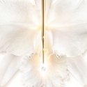 Guerlain Orchidée Impériale Brightening The Radiance Eye Serum 15ml
