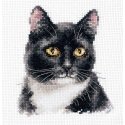 Beldizart Cross Stitch Kit "Black Cat" S1-37