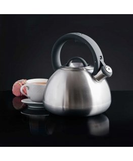 Foster kettle 3 l graphite AMBITION