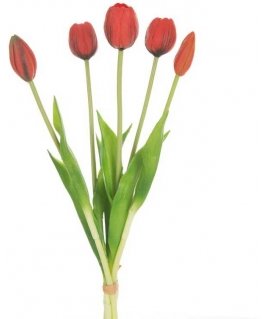 Eurofirany KW/NATU/473/Red Red/BOOUQUET