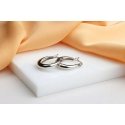 Brilio Silver Gold-plated oval earrings EA1145Y Brilio Silver Gold-plated oval earrings EA1145Y