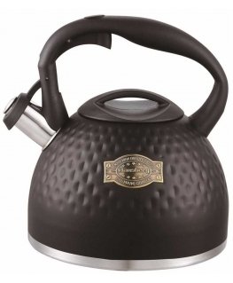 STEEL KETTLE WITH WHISTLING 3L KLAUSBERG KB-7643