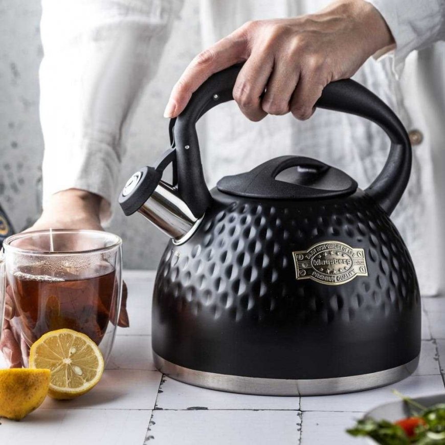STEEL KETTLE WITH WHISTLING 3L KLAUSBERG KB-7643 – 2