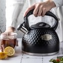 STEEL KETTLE WITH WHISTLING 3L KLAUSBERG KB-7643 STEEL KETTLE WITH WHISTLING 3L KLAUSBERG KB-7643