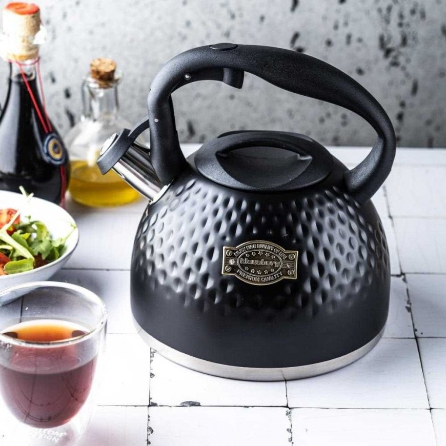 STEEL KETTLE WITH WHISTLING 3L KLAUSBERG KB-7643 – 4