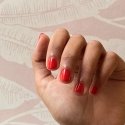 All Tigers Nail lacquer 206 Earn Your Stripes 11 ml All Tigers Nail lacquer 206 Earn Your Stripes 11 ml