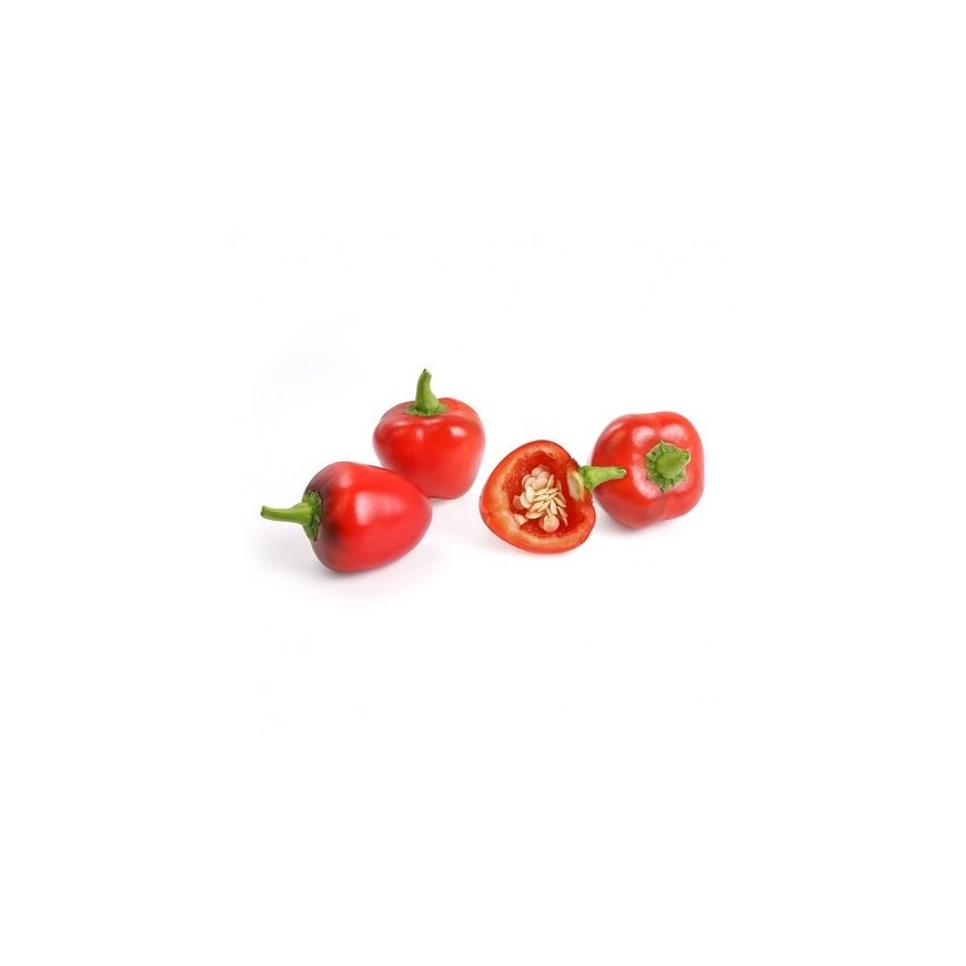 Véritable 3760262511191 growing kit/refill Red bell pepper – 2