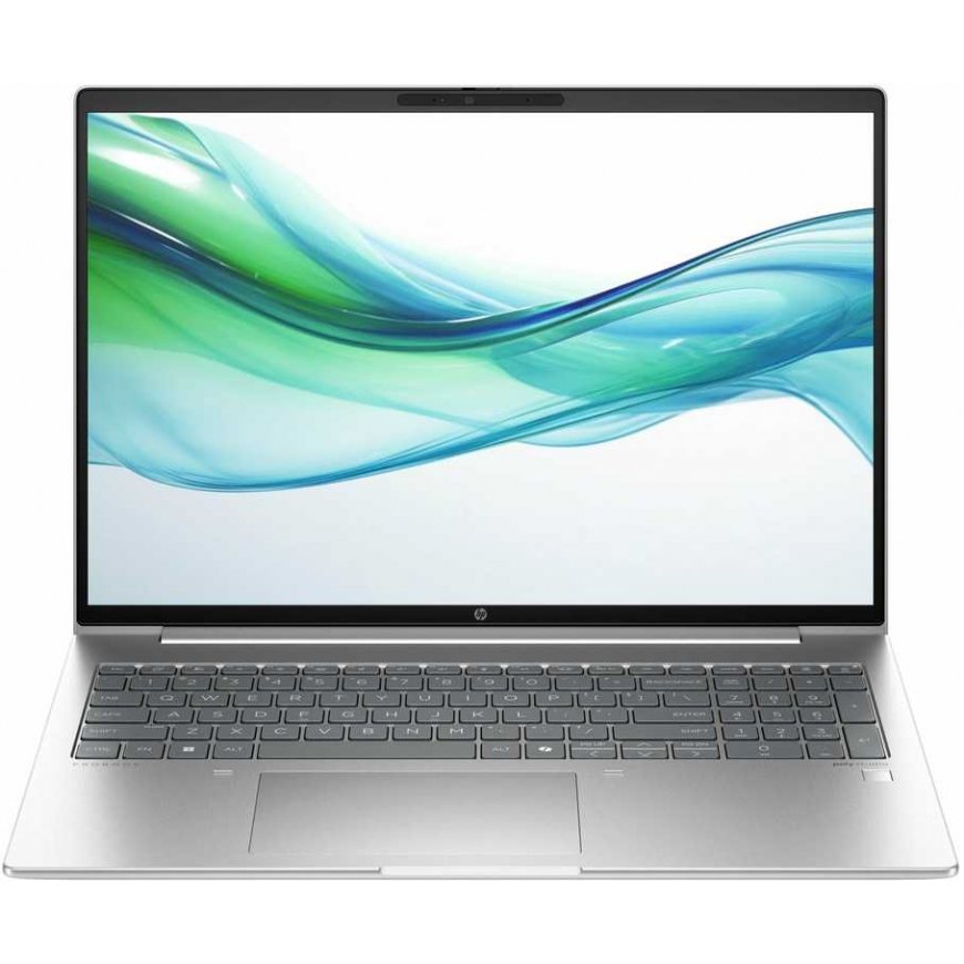 Laptop HP ProBook 465 G11 silver