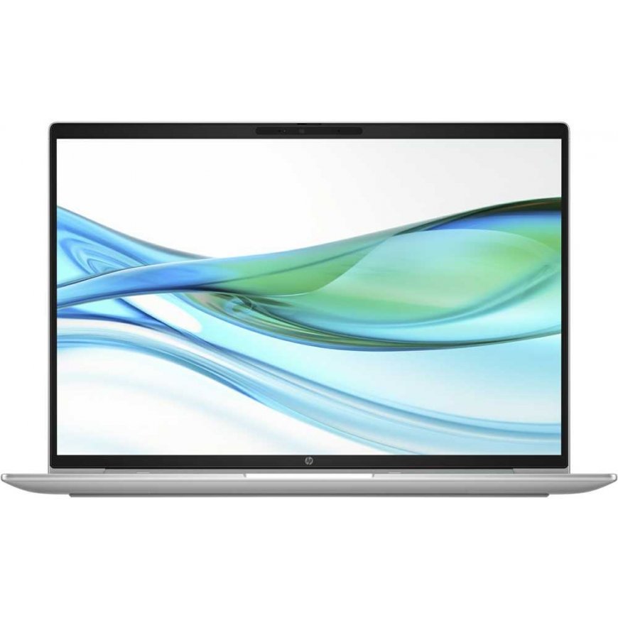 Laptop HP ProBook 465 G11 silver – 2