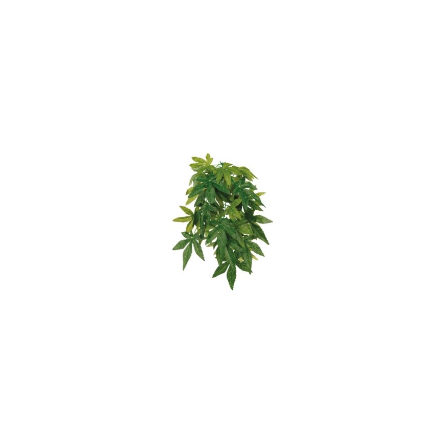 TRIXIE 76236 roomajate ja kahepaiksete terraariumi dekoratsioon – 2